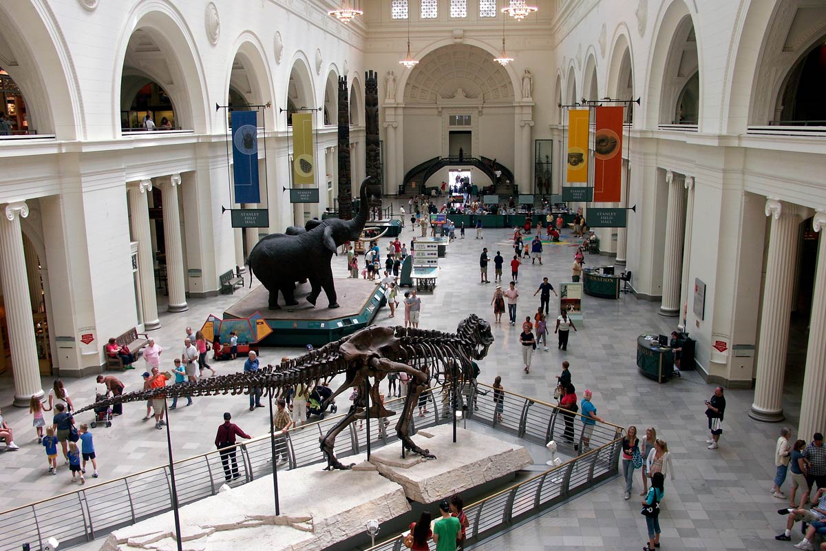 18 mejores museos de Chicago que visitar este 2024 + MAPA